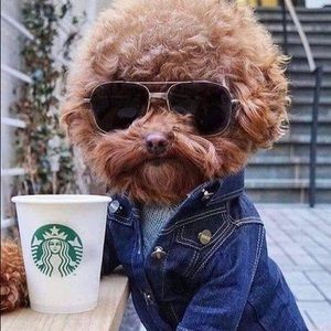 Meet your Posher, Rod